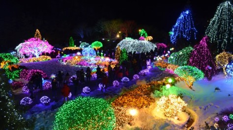 Morning Calm Arboretum Sunken Garden wide view