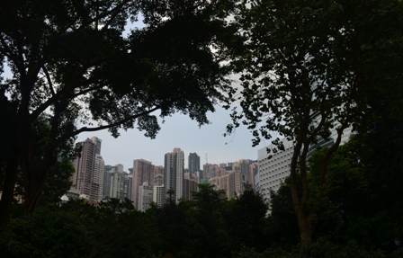 Hong Kong park architecture tree frame