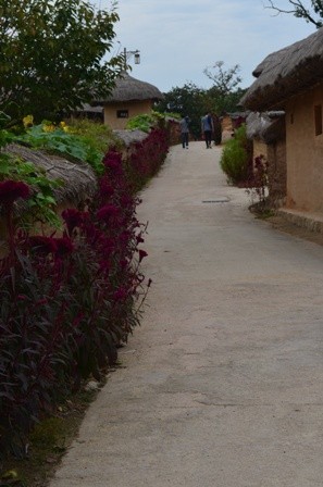 Andong Hahoe Maeul flower lined street