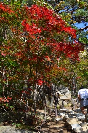 Seoraksan day 1 autumn colors on Ulsan Bawi trail