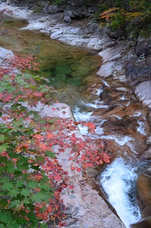 Seoraksan day 2 river with red and green leaves