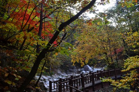 Sibiseonnyetang bridge and colored trees