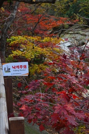 Sibiseonnyetang falling rocks colorful trees