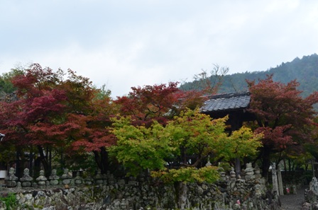 Kyoto Arashiyama Arashion Temple gravestones and colorful trees