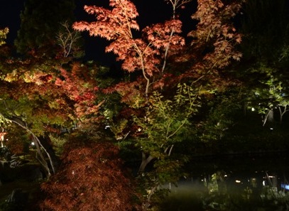 Kyoto Night Eikando reflection pool