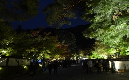 Kyoto Night Eikando temple entrance
