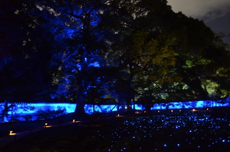Kyoto Night Shorenin Temple lighted yard