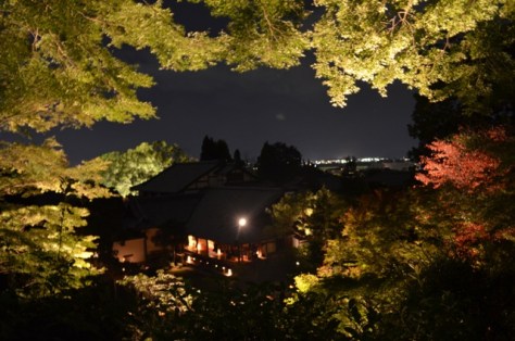 Kyoto Night Shorenin Temple title picture