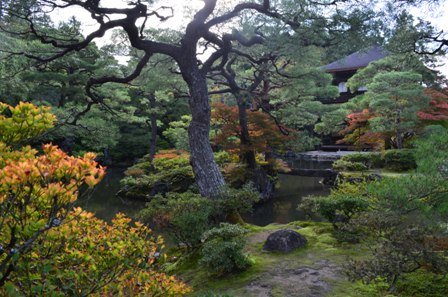 Kyoto Searching Ginkakuji Temple autumn foliage