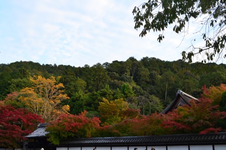 Kyoto Searching Nanzenji colorful autumn foliage