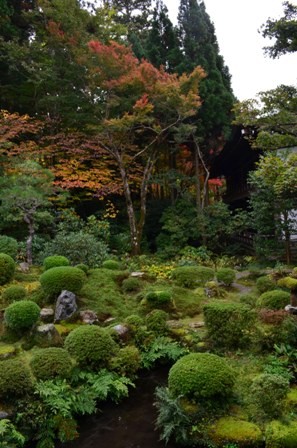 Kyoto Searching Sanzenji garden