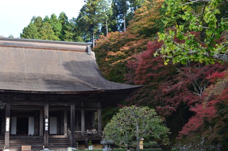 Kyoto Searching Sanzenji neighboring temple