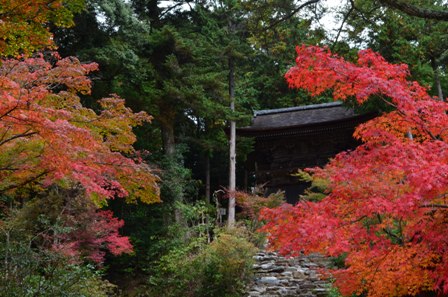 Kyoto Takao colorful out building