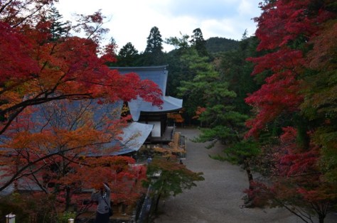 Kyoto Takao Temple title picture