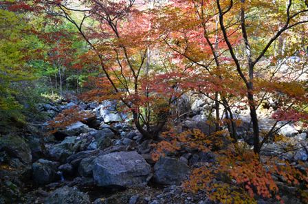 Piagol Valley colorful rocky river
