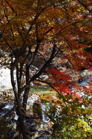 Piagol Valley river waterfall with red and yellow leaves