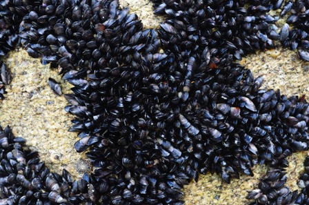 Abel Tasman Day One-9