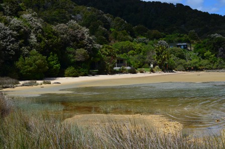 Abel Tasman Day Three-10