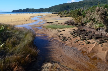 Abel Tasman Day Three-7