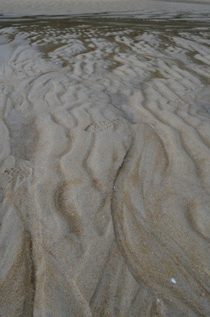 Abel Tasman Day Two-13