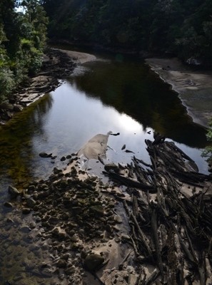 Abel Tasman Day Two-7