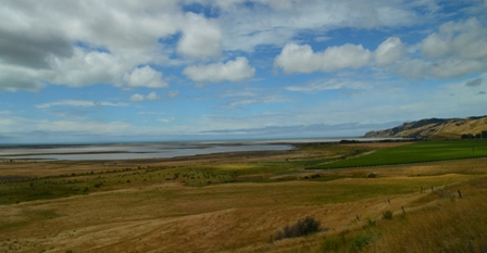 Coastal Pacific Train-1