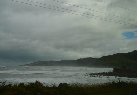 Coastal Pacific Train-12