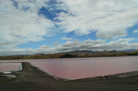 Coastal Pacific Train-5