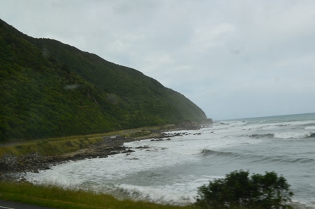 Coastal Pacific Train-7