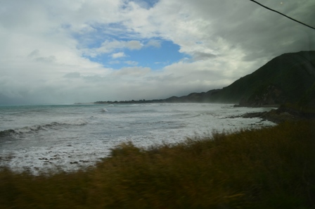 Coastal Pacific Train-8