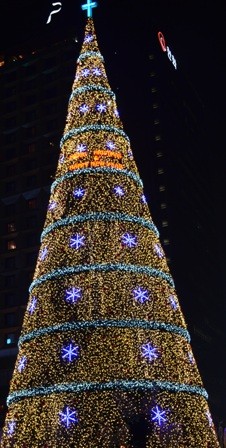 Holidays Seoul Christmas tree lights