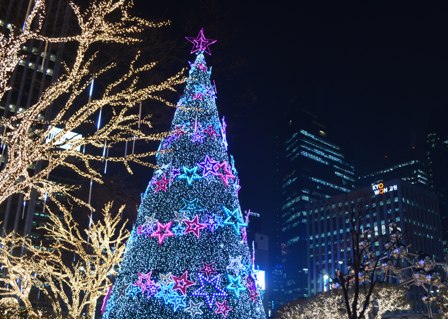 Holidays Seoul Christmas trees lighted