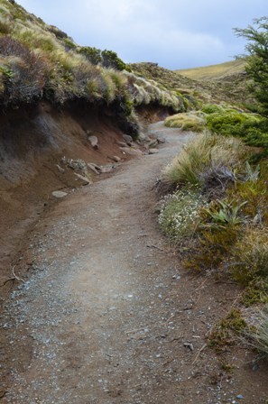 Kepler Track Day One-13
