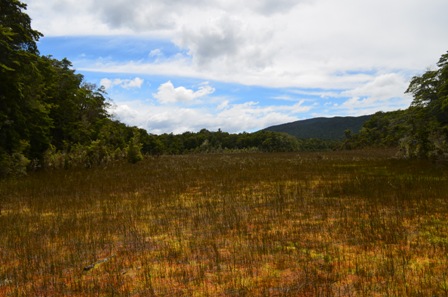 Kepler Track Day Three-11