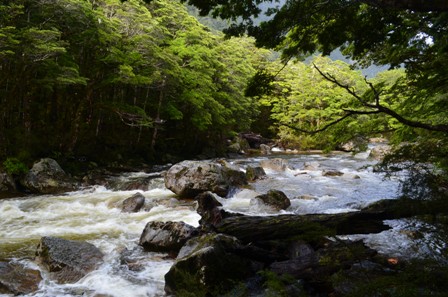 Kepler Track Day Three-4