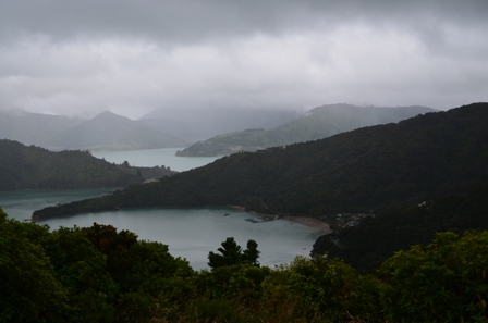 Queen Charlotte Day Four-1