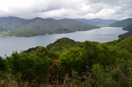 Queen Charlotte Day Four-12