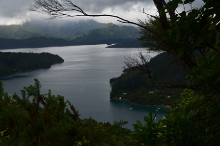 Queen Charlotte Day Four-6