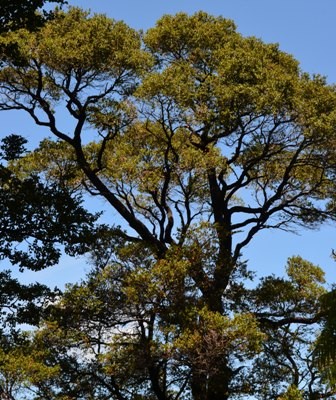 Queen Charlotte Day One-11