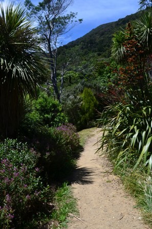 Queen Charlotte Day One-14