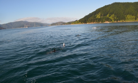 Queen Charlotte Day One-2