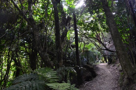 Queen Charlotte Day One-5