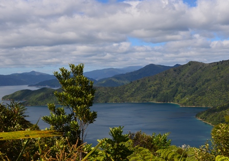 Queen Charlotte Day One-6