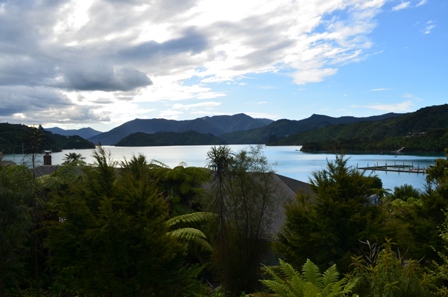 Queen Charlotte Day Three-12