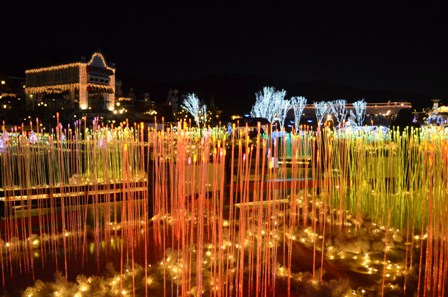 Everland Romantic Illumination colorful reed garden
