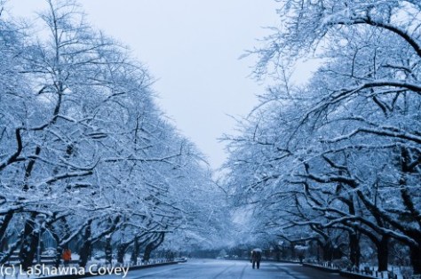 Toyko winter 2014-15