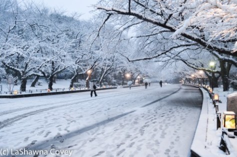 Toyko winter 2014-26