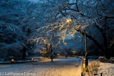 Toyko winter 2014-27