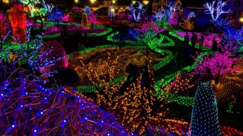 Herb Island Lighting Festival-6