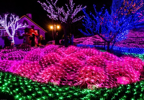 Herb Island Lighting Festival-9